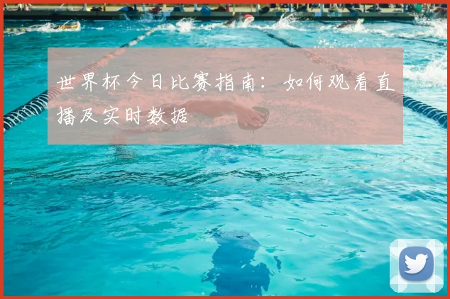 世界杯今日比赛指南：如何观看直播及实时数据