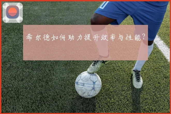 希尔德如何助力提升效率与性能？